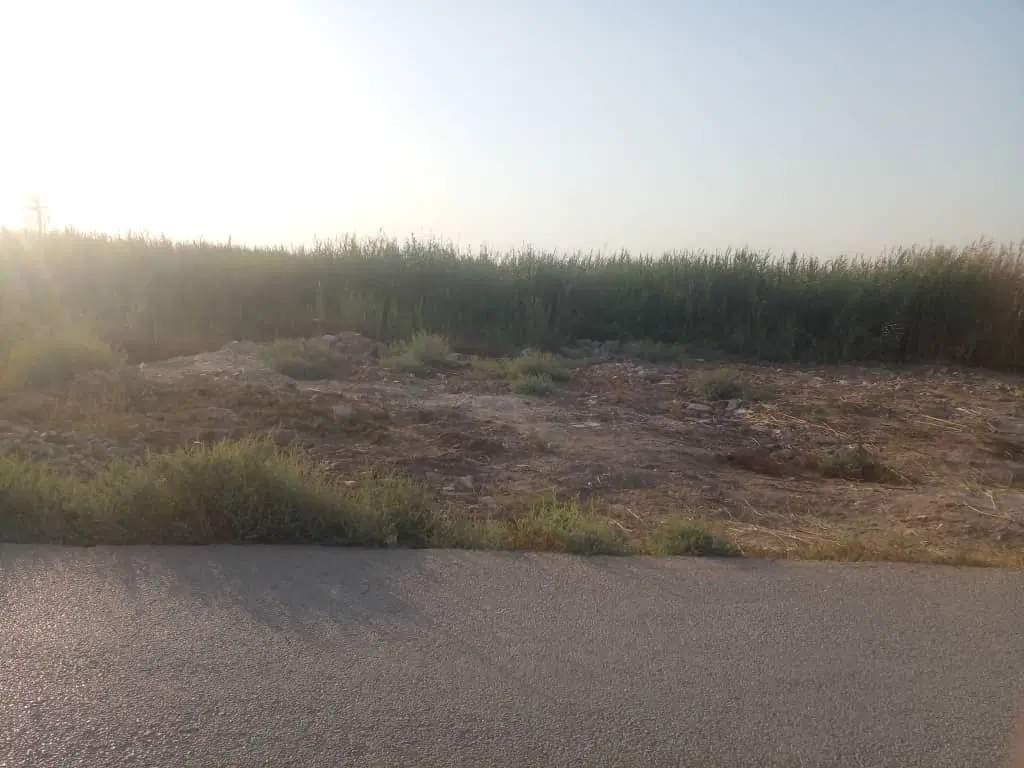 زمین