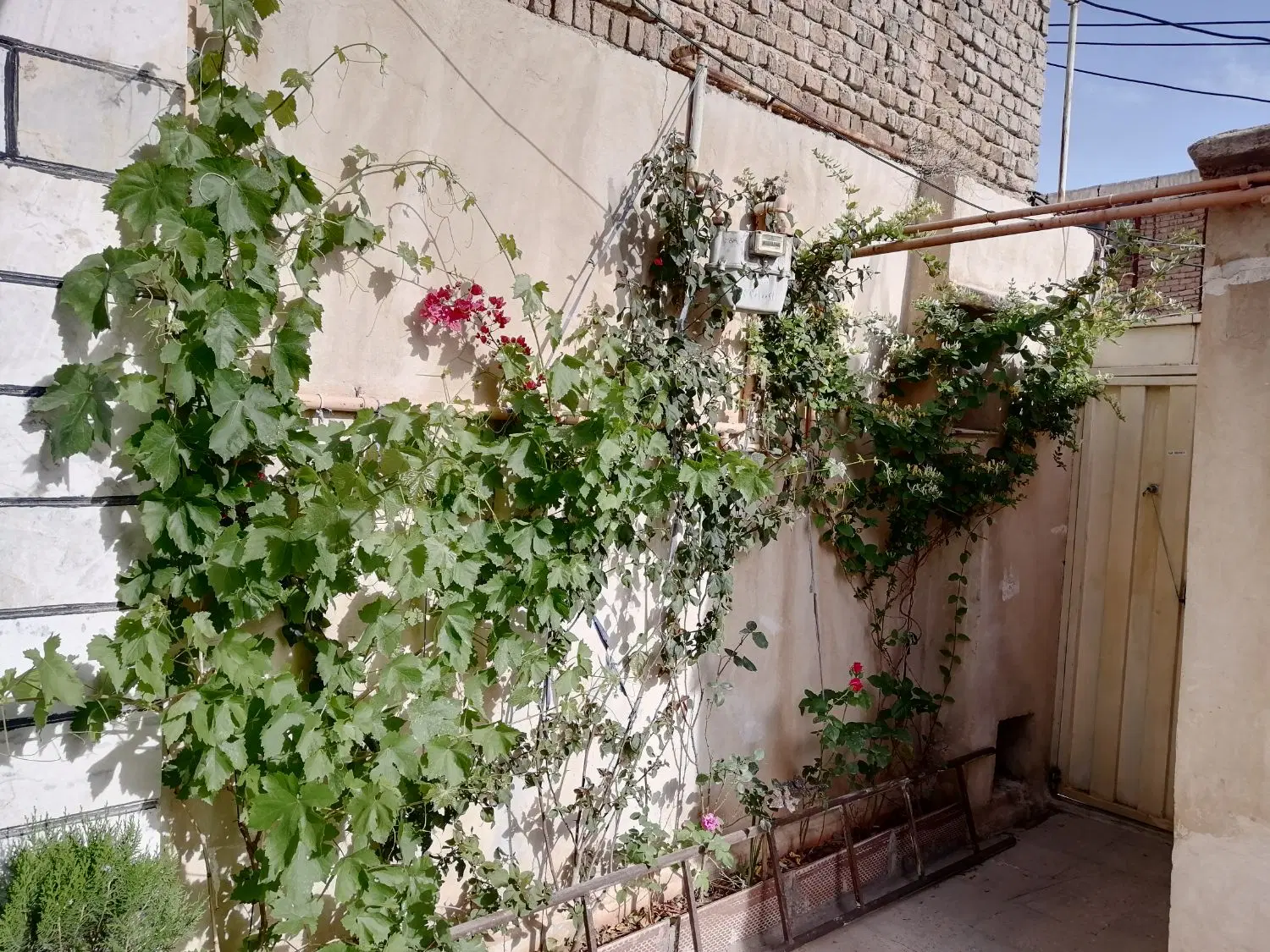 منزل مسکونی کوی فلسطین