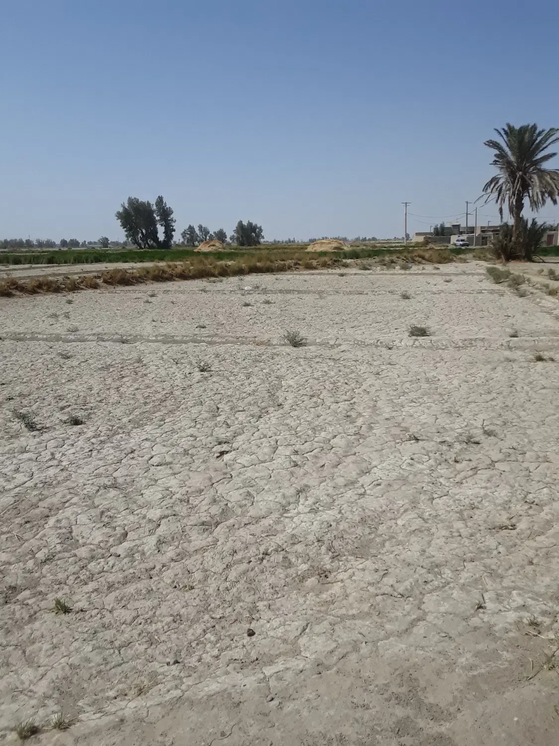 زمین