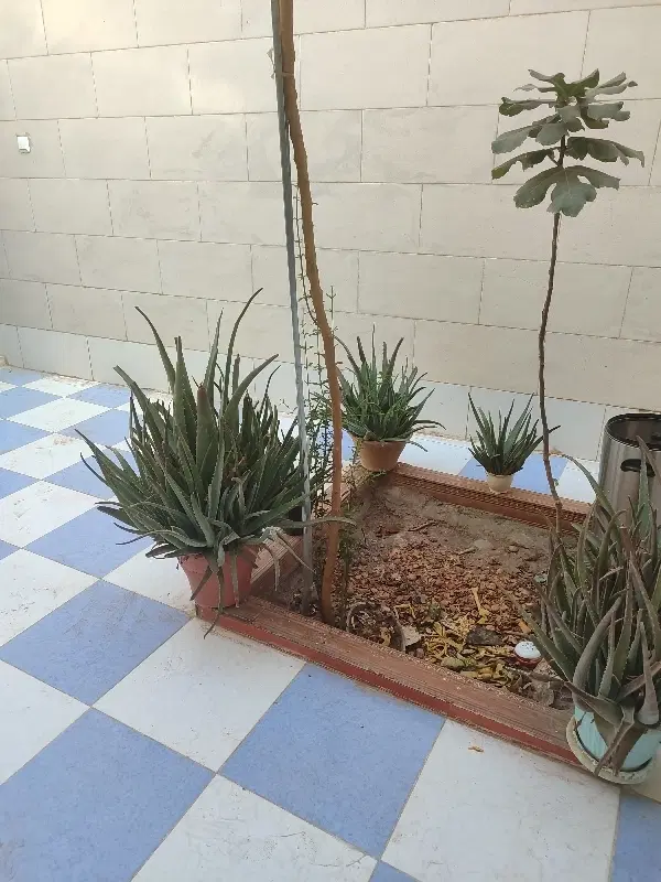 ویلایی ۱۲۰ متری