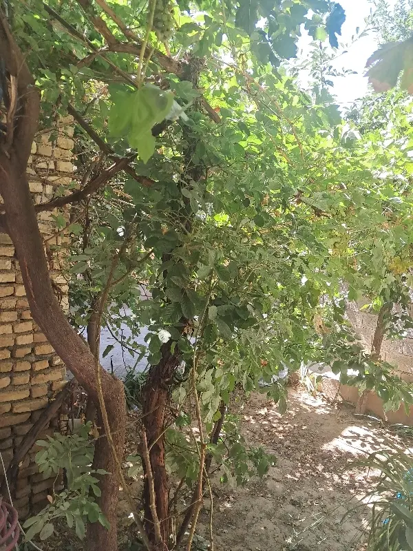 فروش منزل مسکونی واقع در مهدیه