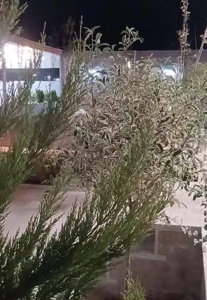 فروش باغ ویلا در ابشینه