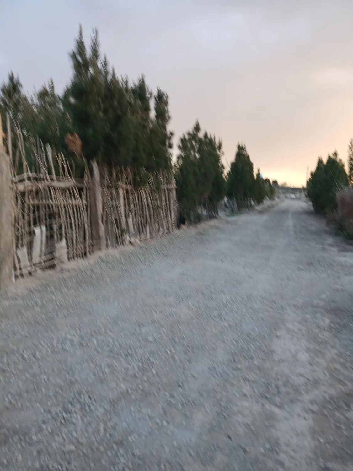 زمین
