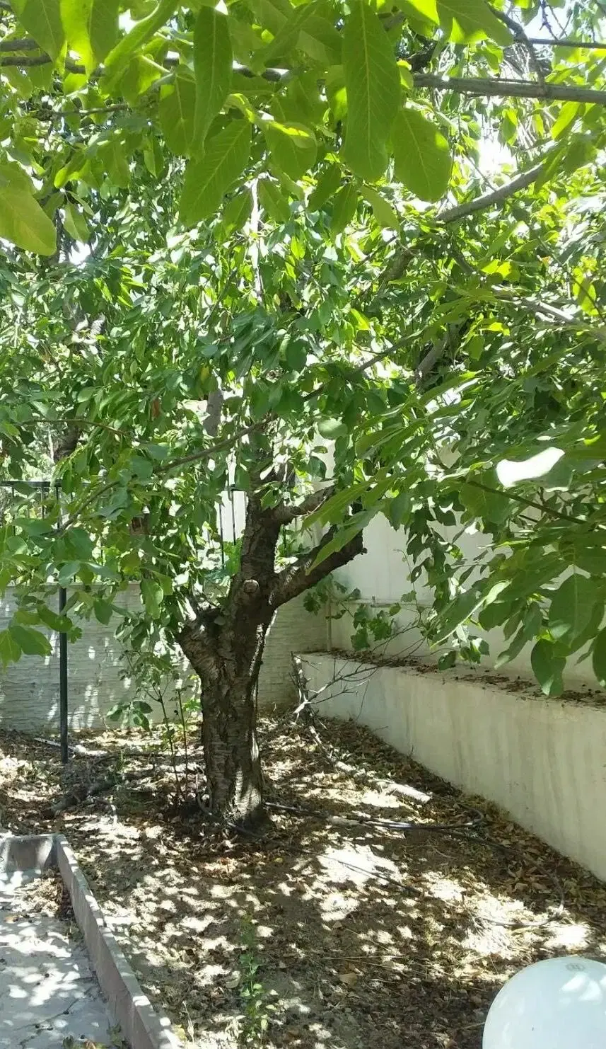 ۵۰۰ متر زمین ۱۸۰ متر بنا نوساز سندقطعی جابان