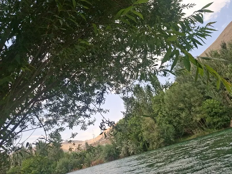 باغ300متری خوش قیمت