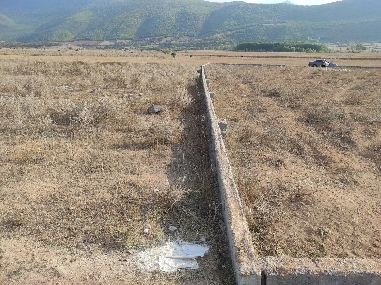 فروش و معاوضه پول کجور