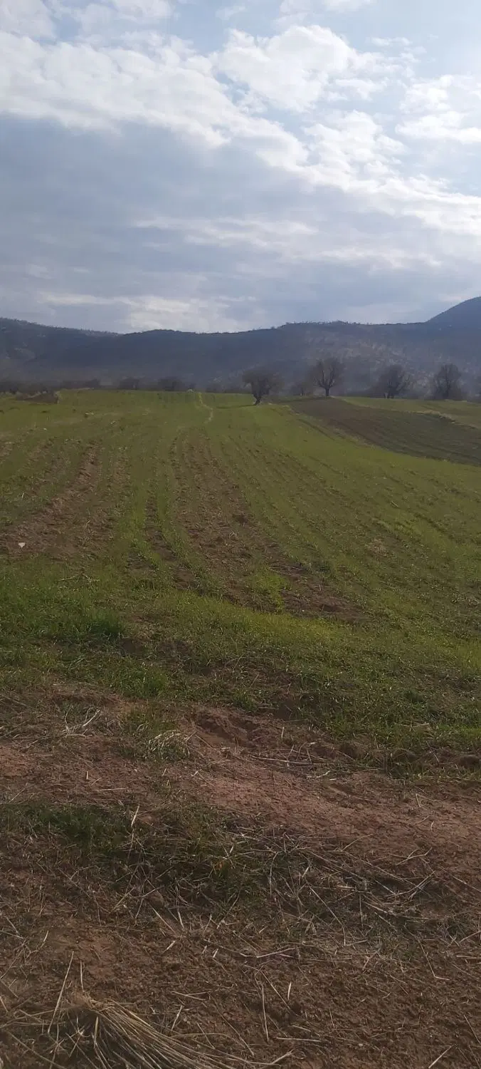 ۲۷ کیسه زمین کشاورزی مرغوب