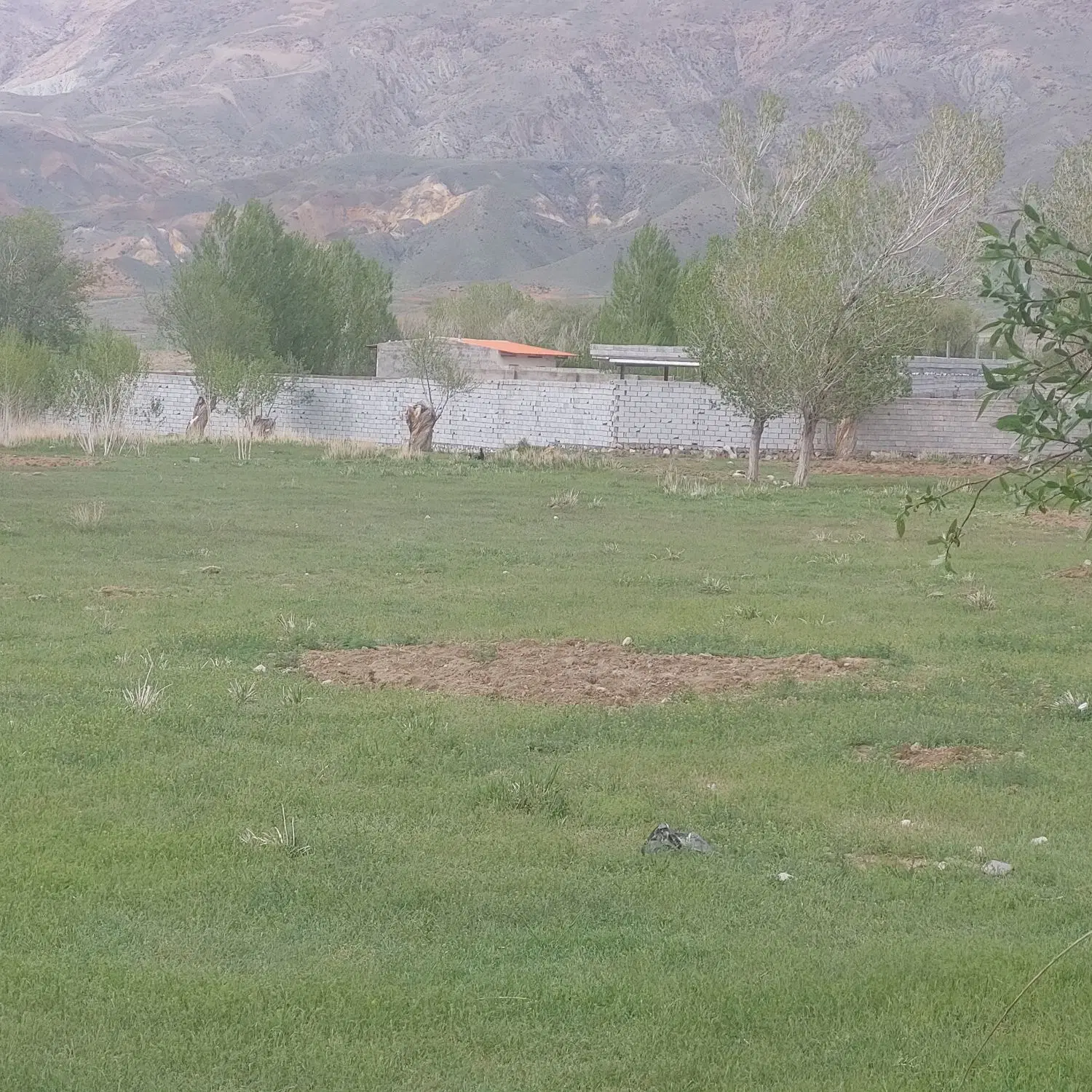 زمین سعید اباد