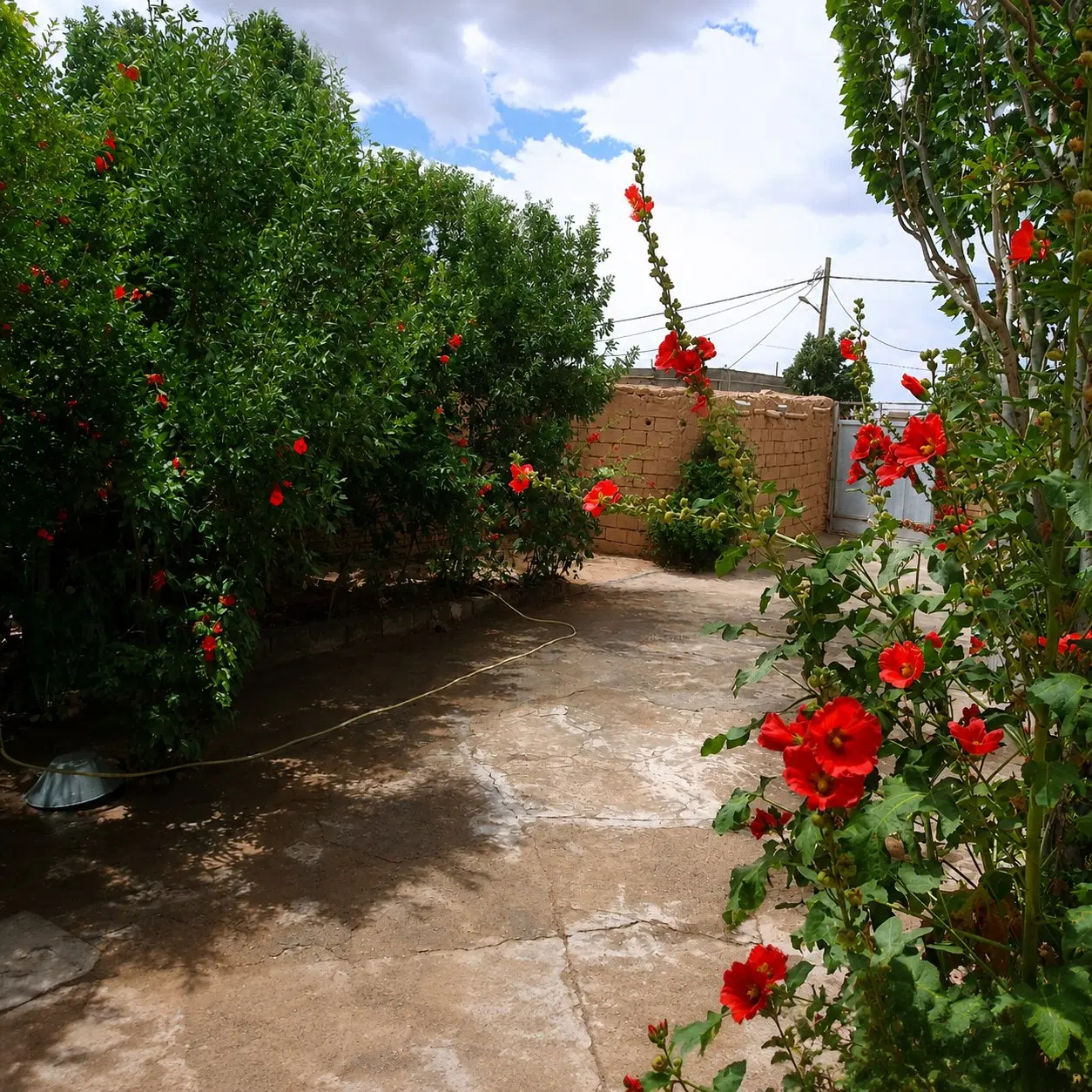 منزل ویلایی فروشی ...
