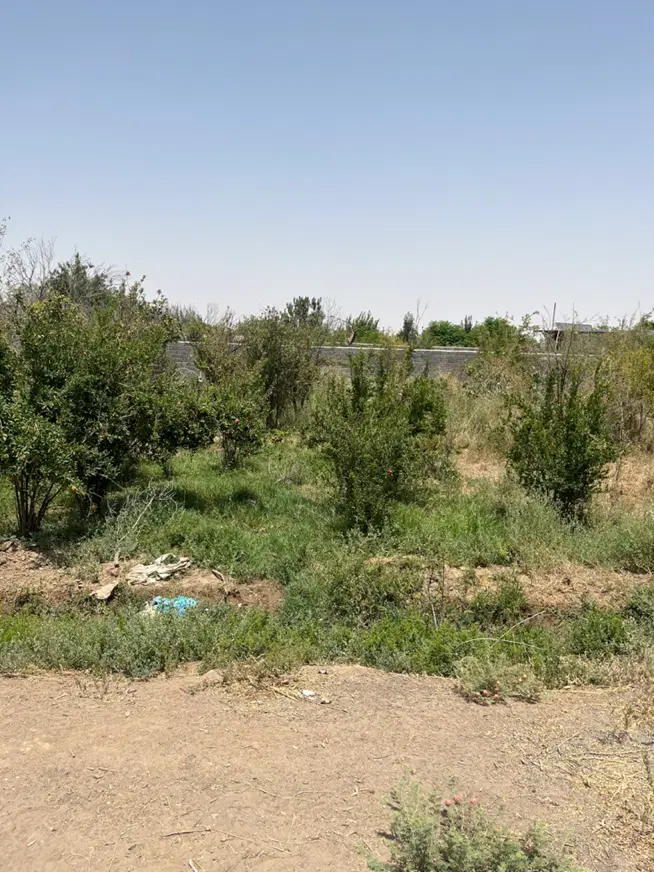 باغ فروشی