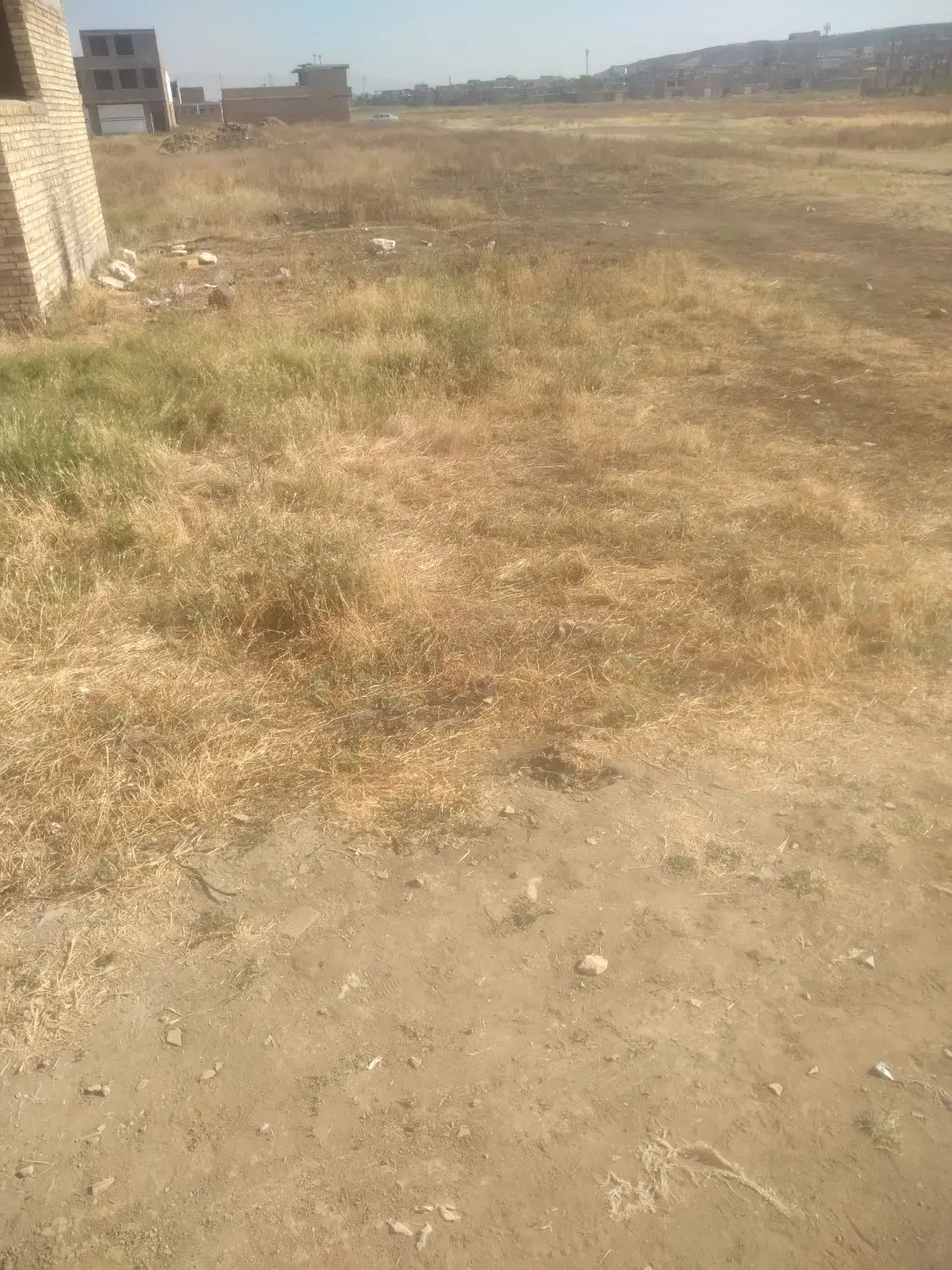 کوهنوردزمین ۹۵ متری در گل سرخ پشت تالار ایران زمین