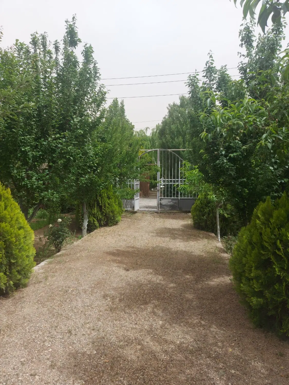 باغچه ۱۰۰۰ متری در فیروزبهرام