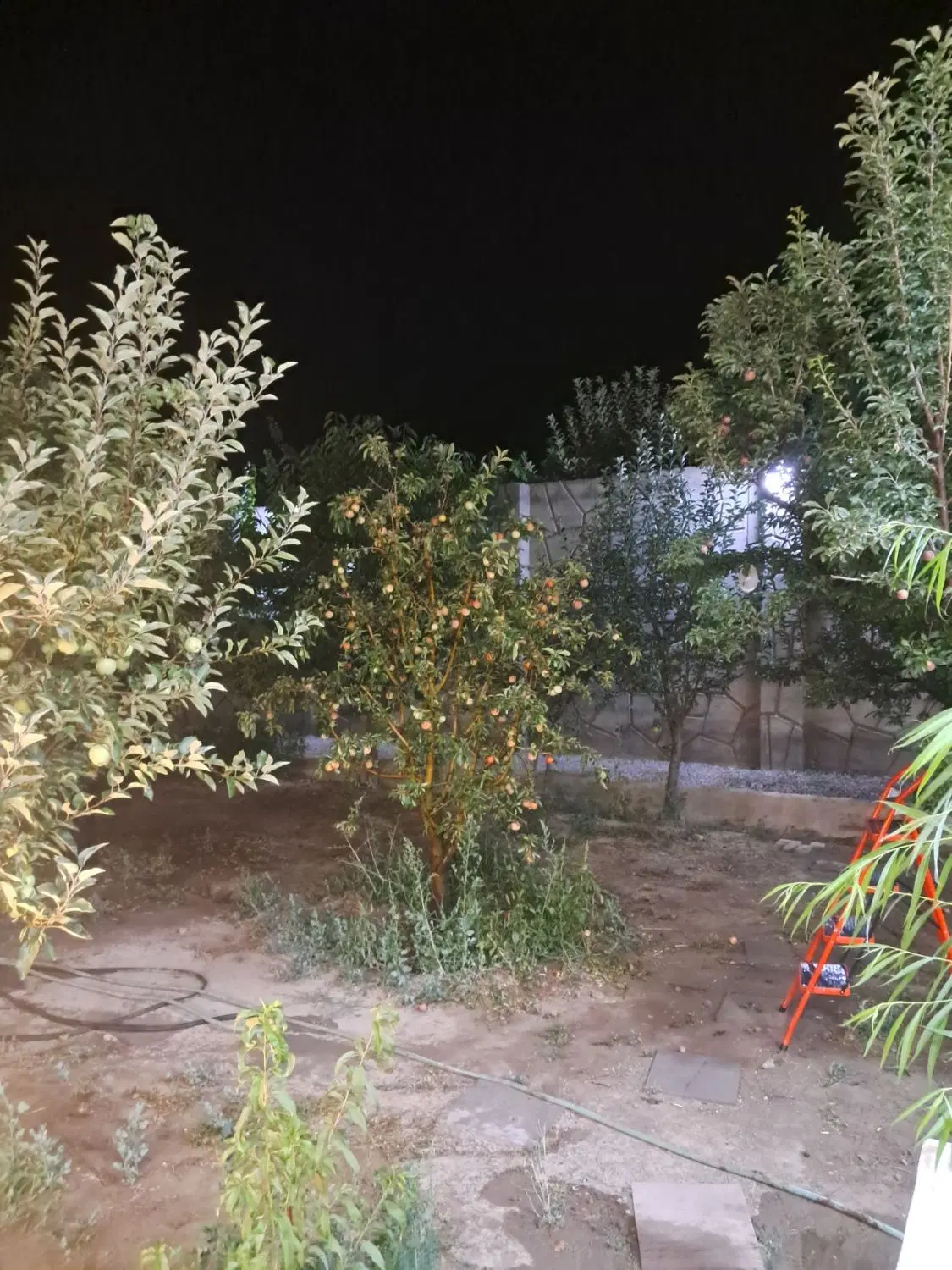 قطعه طلاب