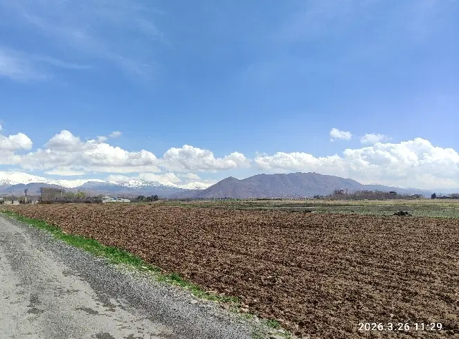 باغ و باغچه ، زمین و ویلا در املاک یک