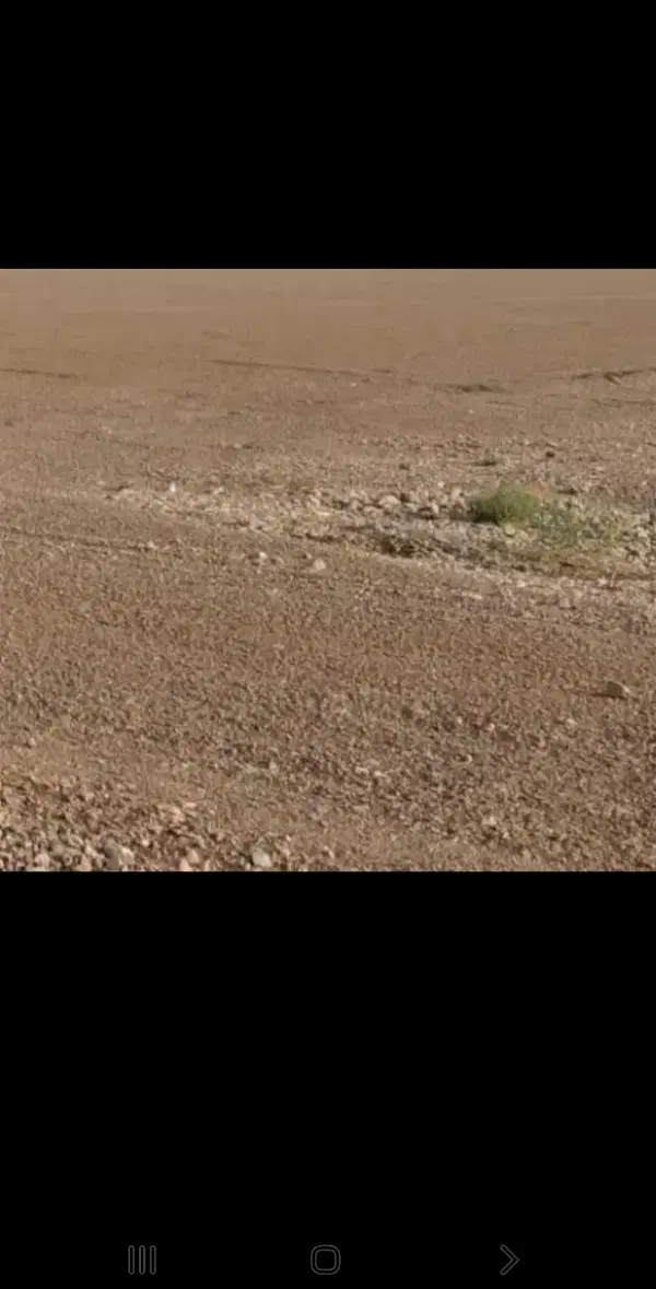 زمین گلبهار