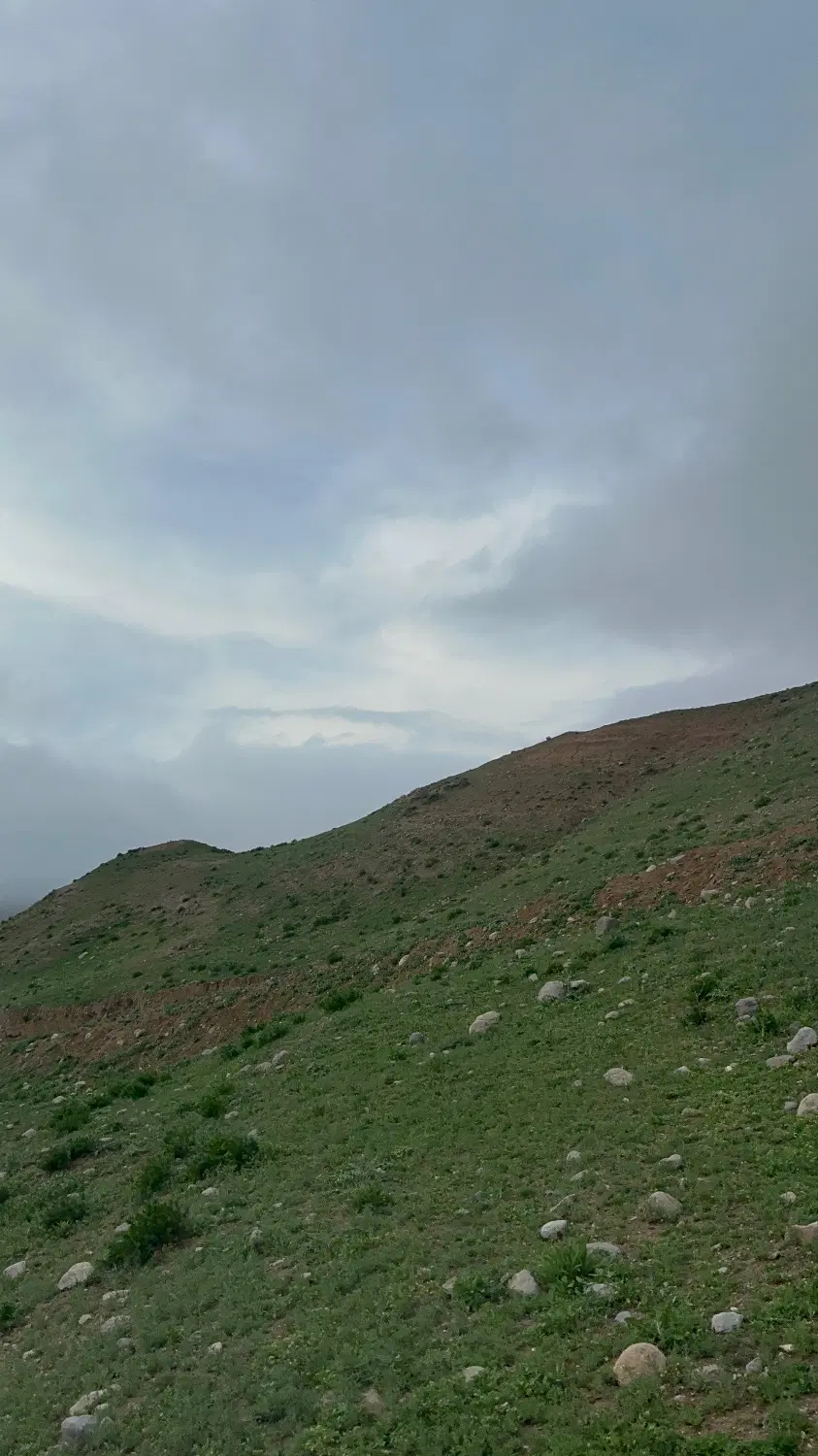زمین پروانه دارتوجیح دارمیلانی زاده