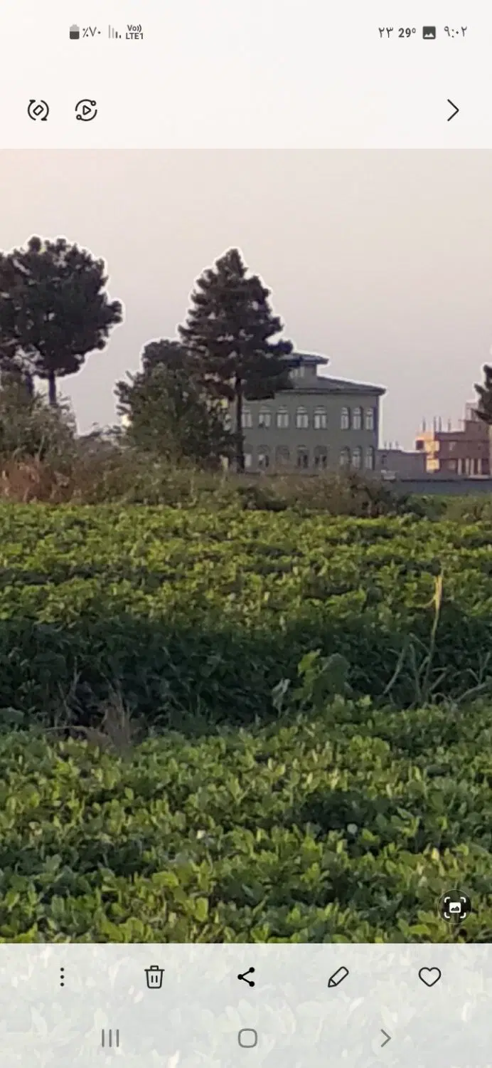 زمین کشاورزی یک ونیم هکتار