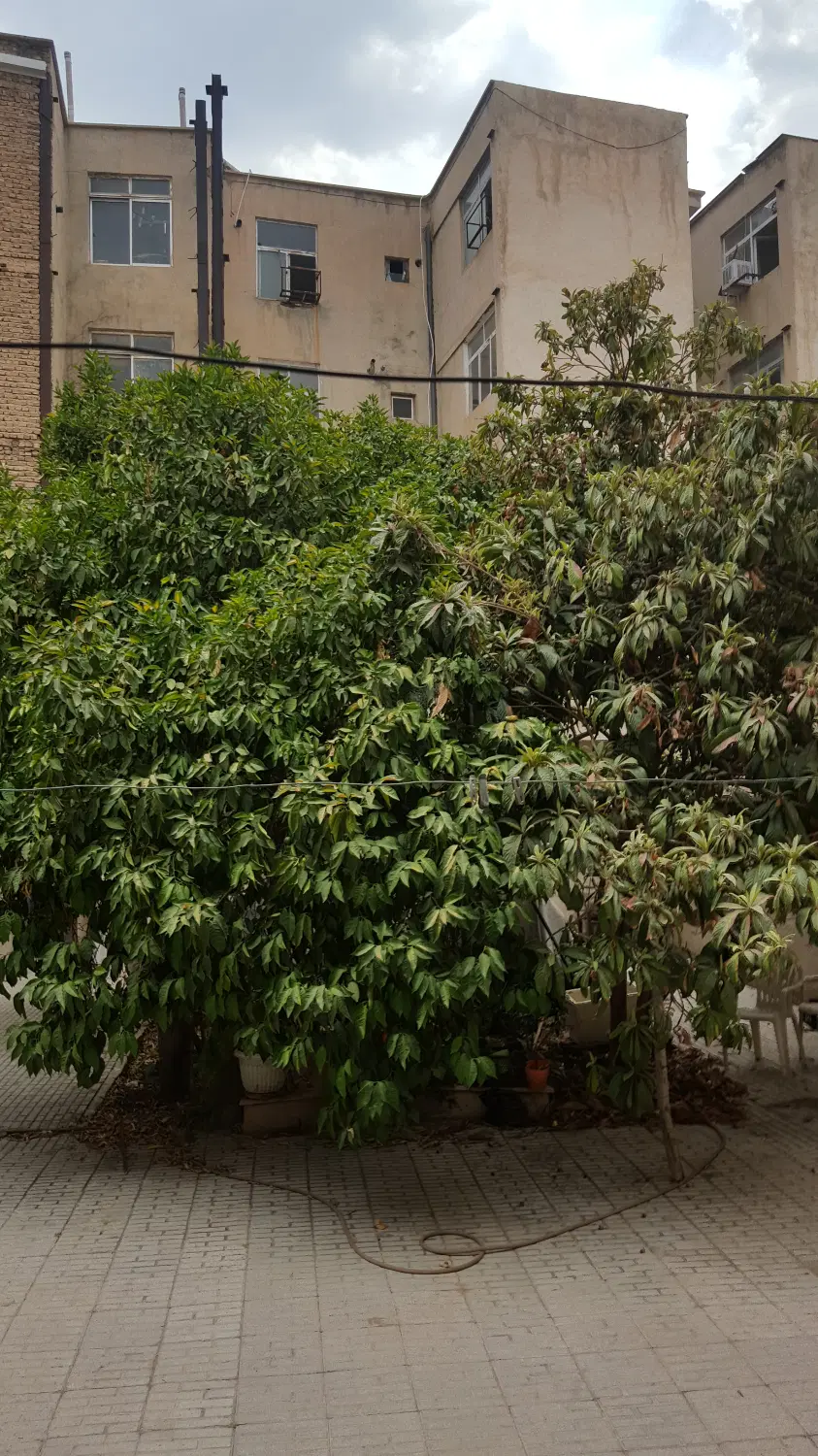 خانه اجاره ای طبقه اول