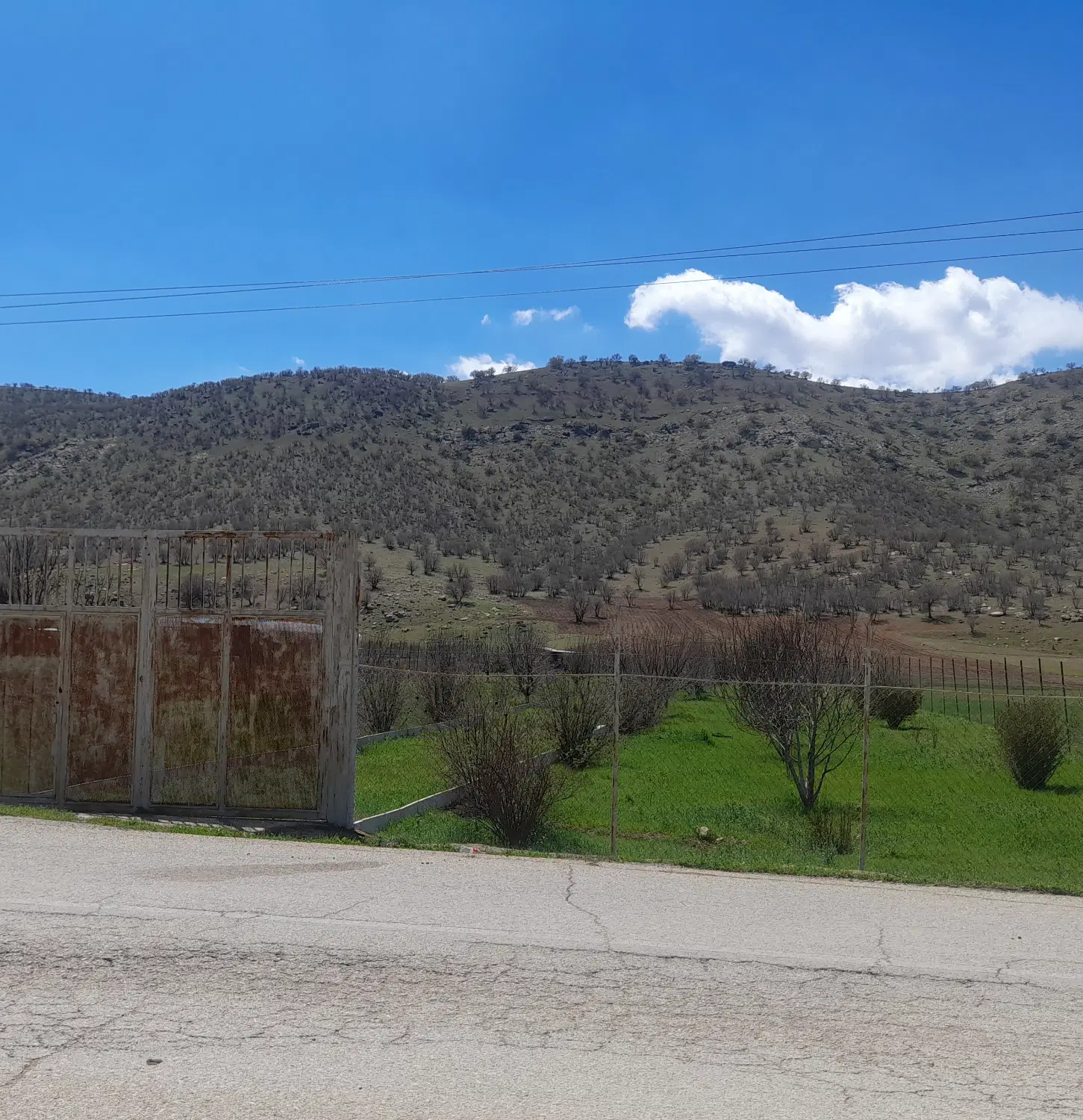 فروش باغ در رباط نمکی