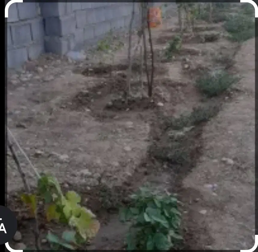 فروش زمین ویلایی در اندیمشک