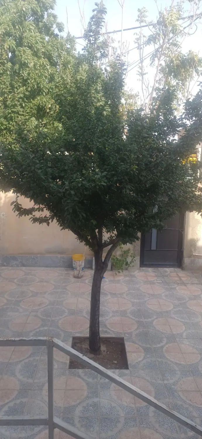 خانه ویلایی دربست
