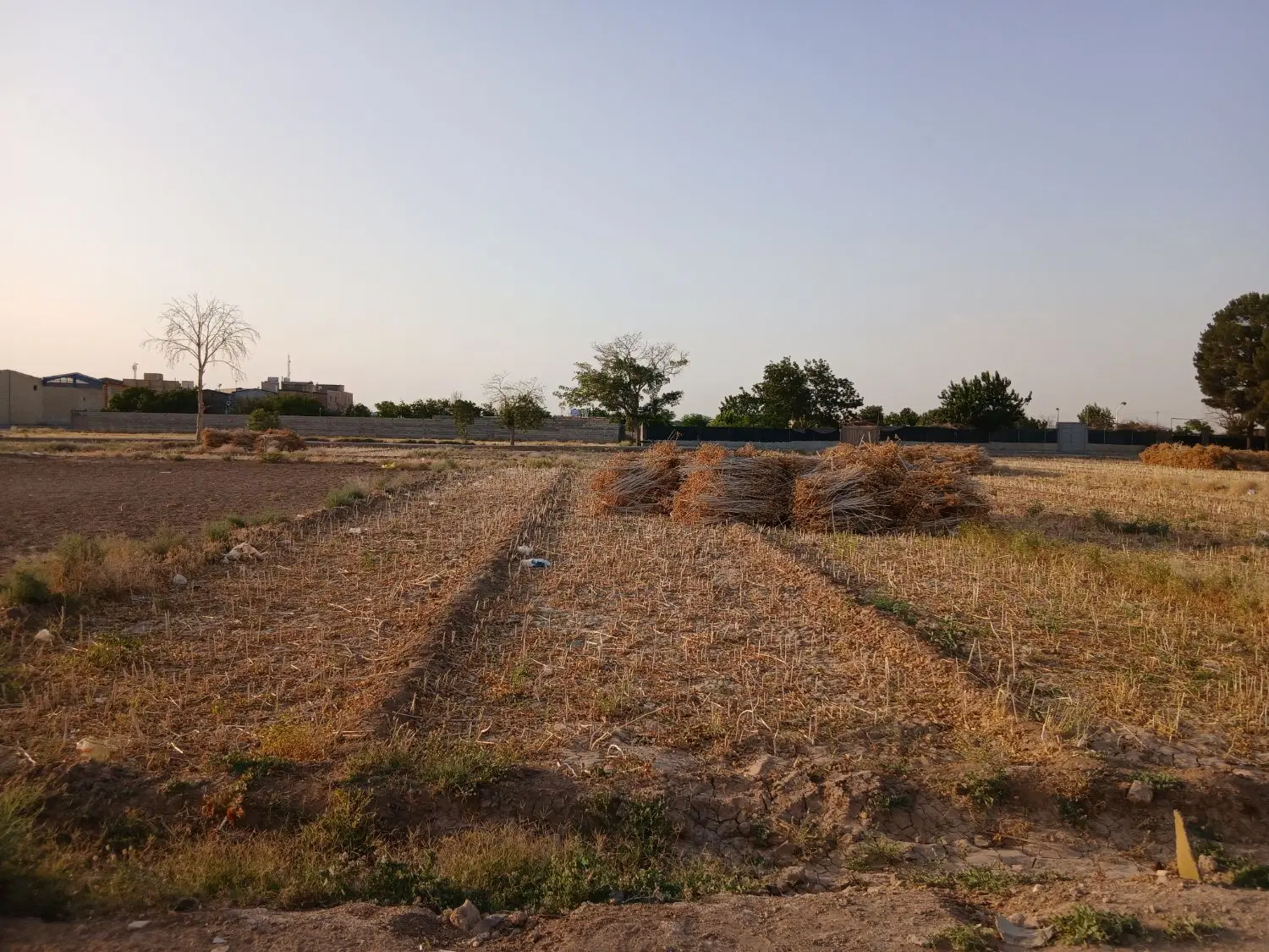 زمین ۶۷۰ متری کشاورزی (شهرک مهدیه)