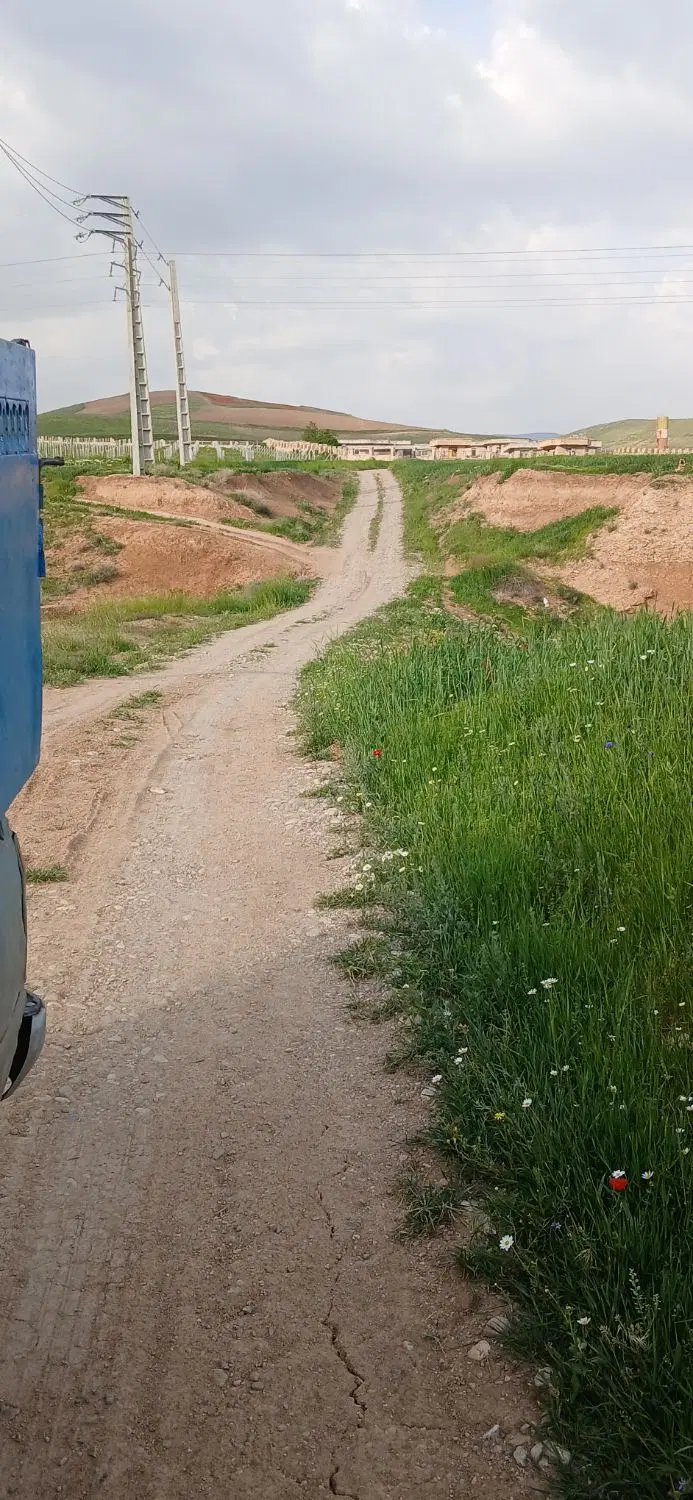 زمین کشاورزی
