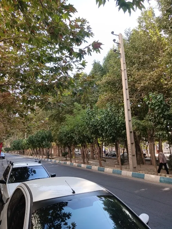 ۲۰۵مترزمین_بر بلوار ولیعصر_سندآماده_خادم‌آباد
