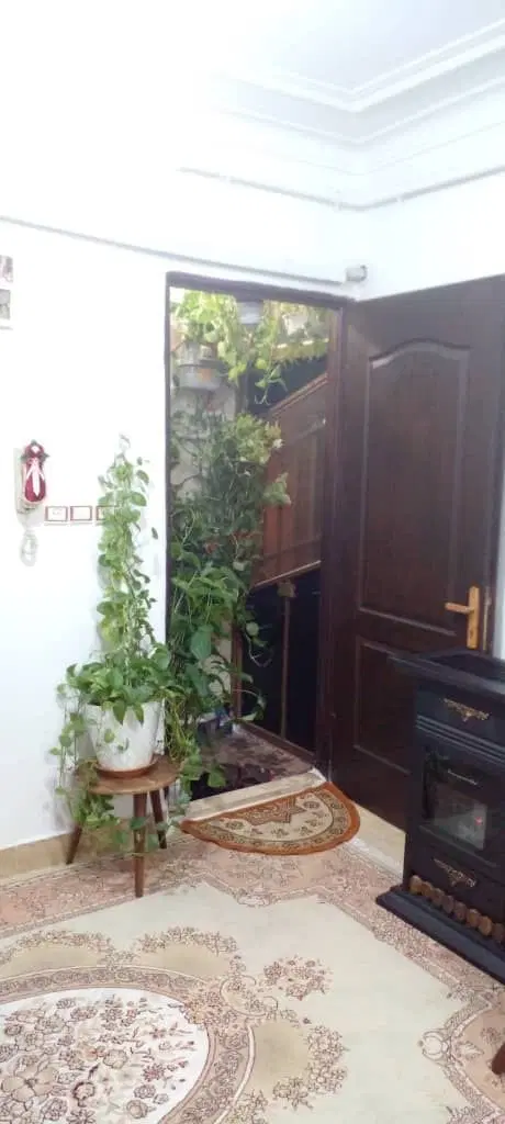 سویت ۵۲ متری