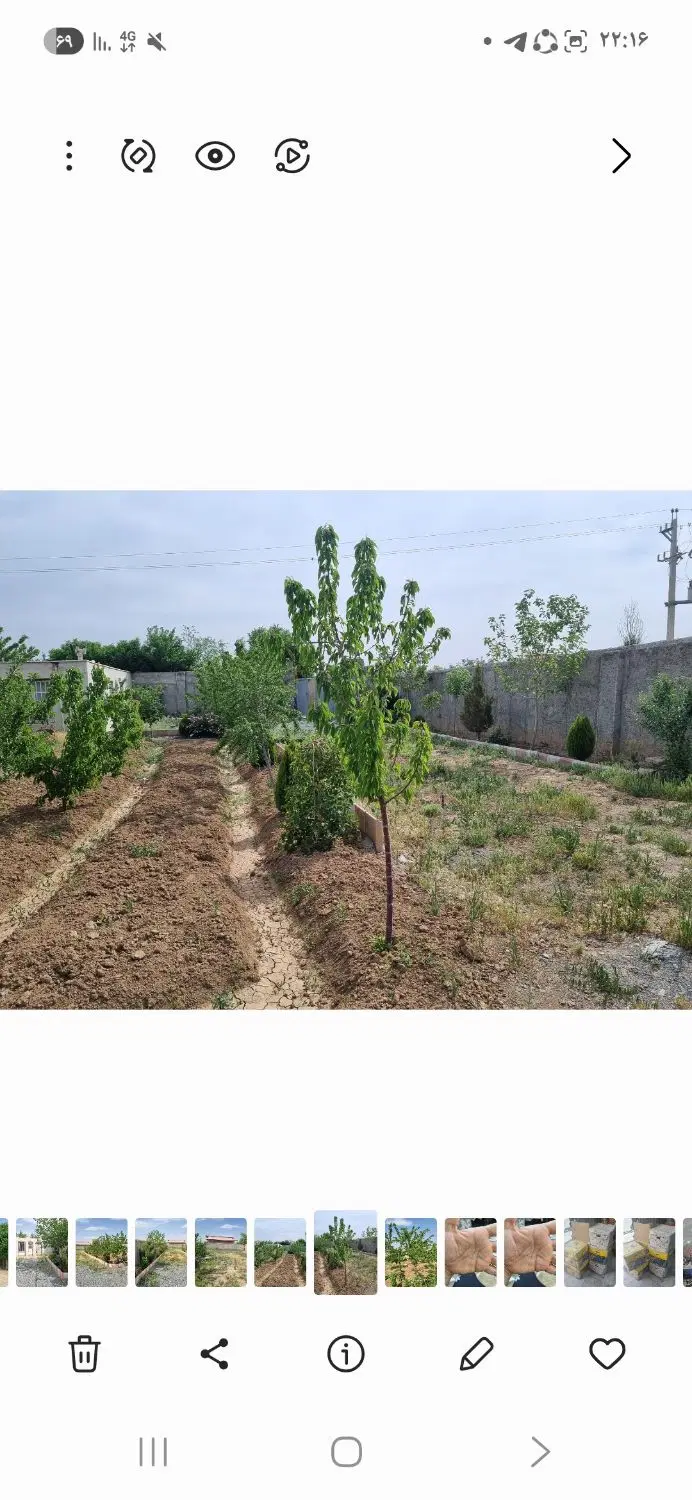 باغ چهار دیواری قدیمی با کنتور برق وسند تک برگ