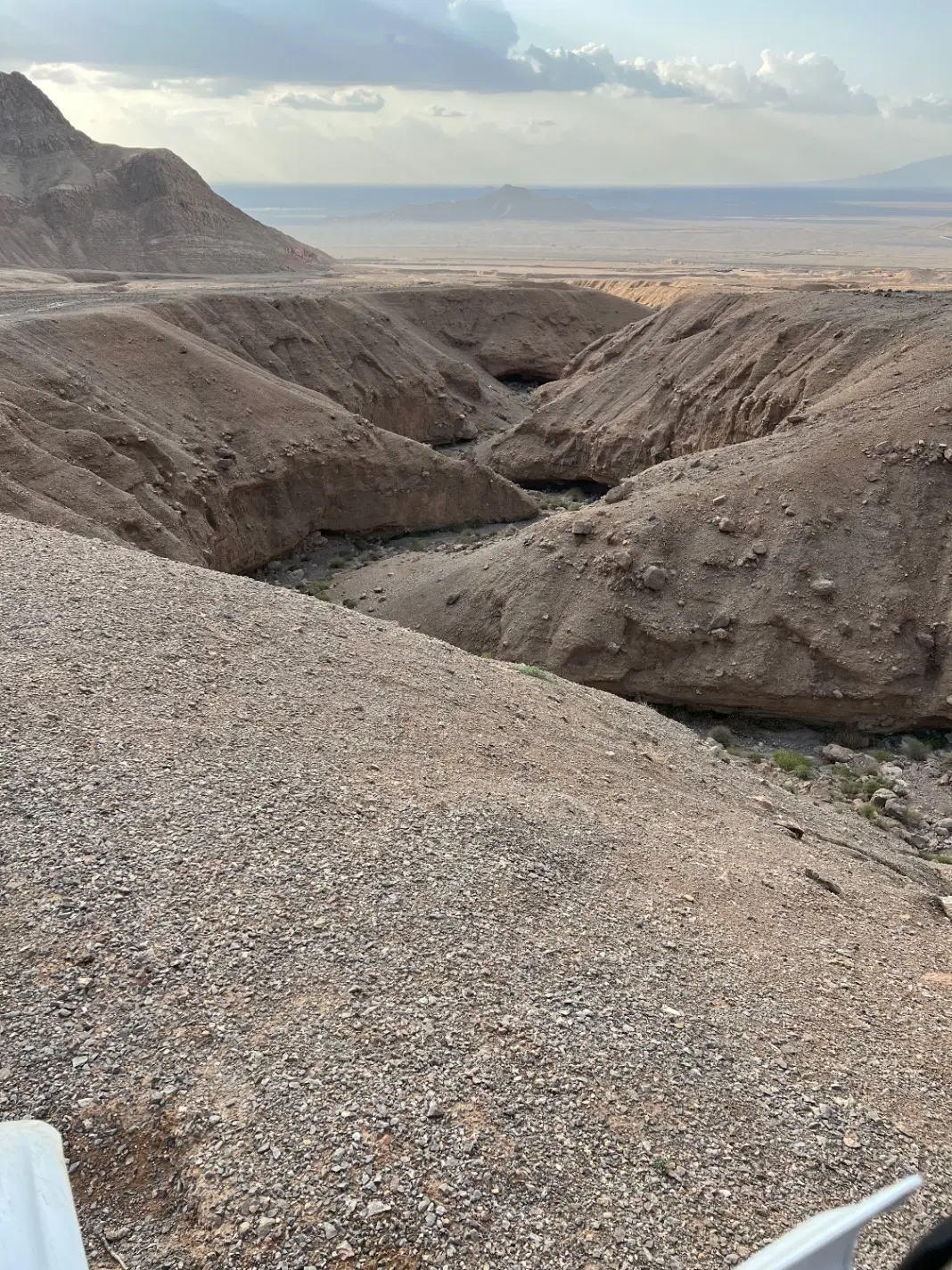 زمین شمالی مروتی