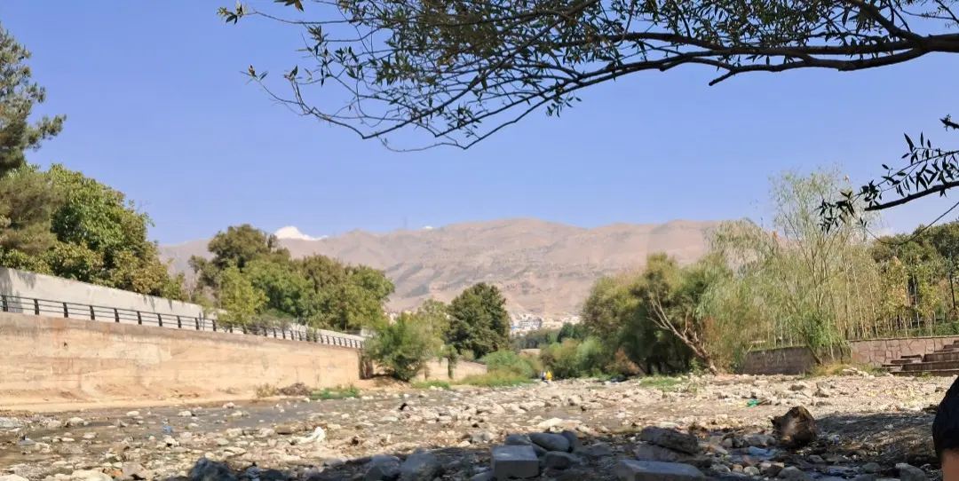 فروش زمین کشاورزی