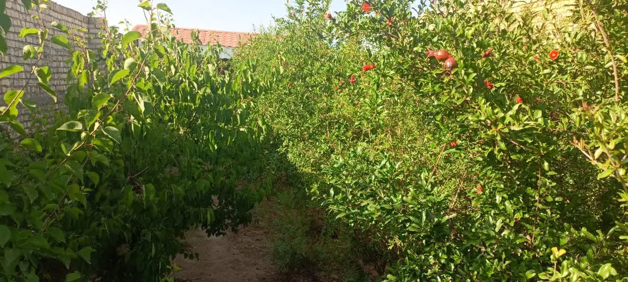 خانه باغ روستایی
