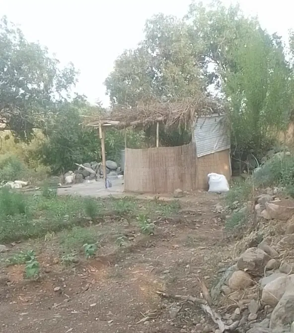 زمین کشاورزی حاجیان