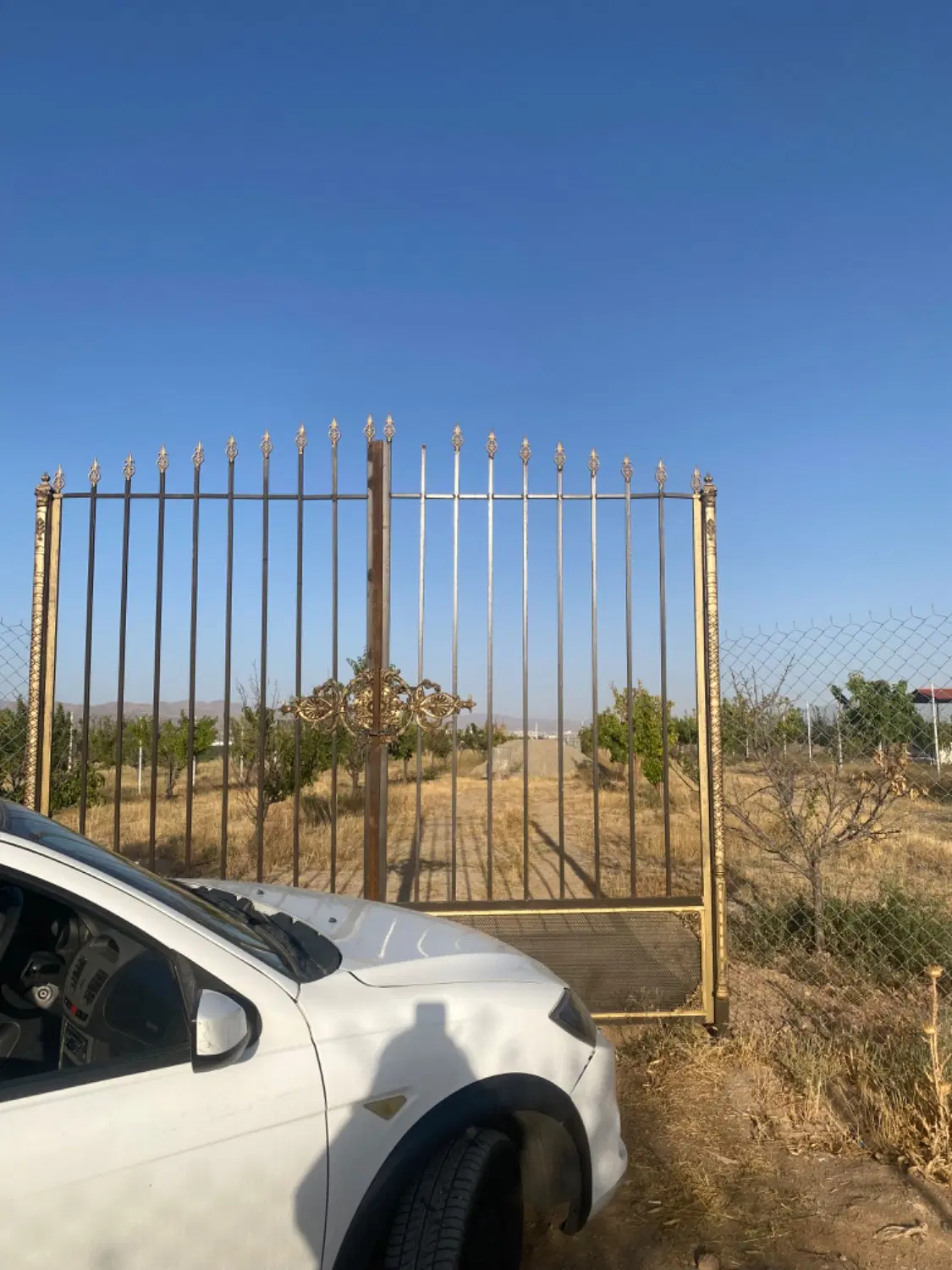 باغشهر نگین