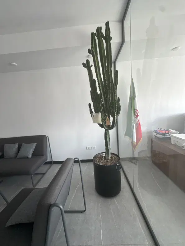 ۱۶۰ متری دوکله نورگیر جهانشهر