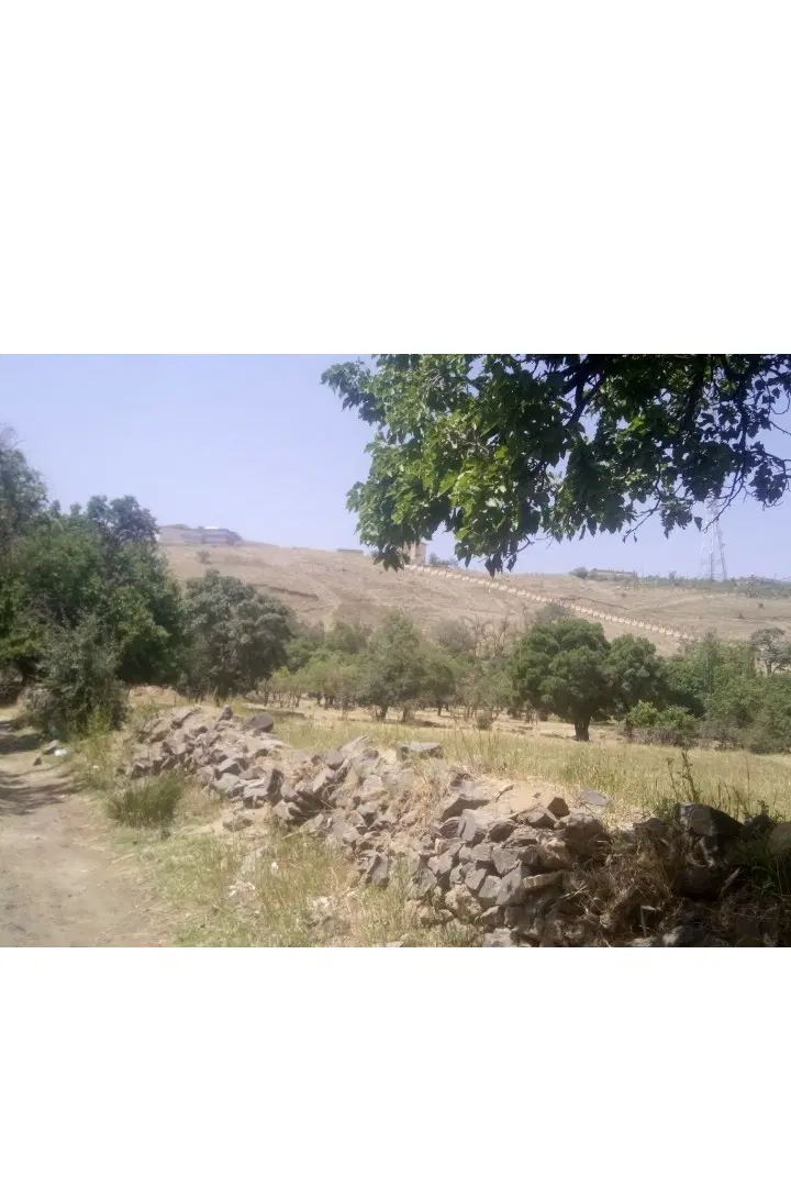 فروش زمین در همدان