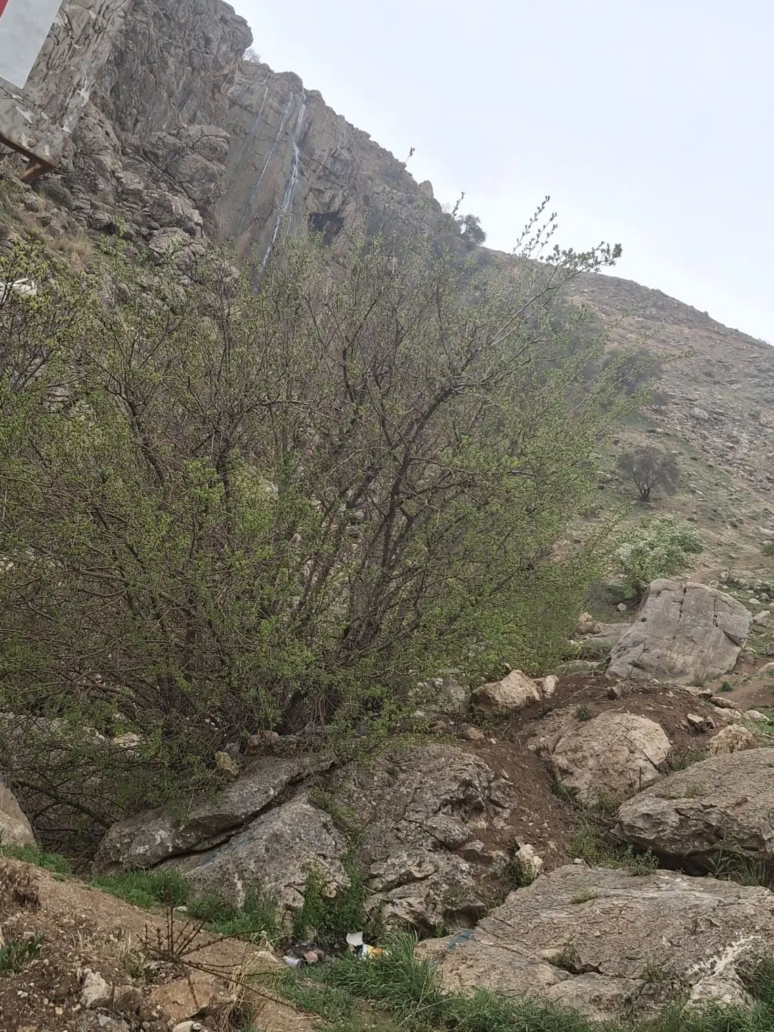 زمین