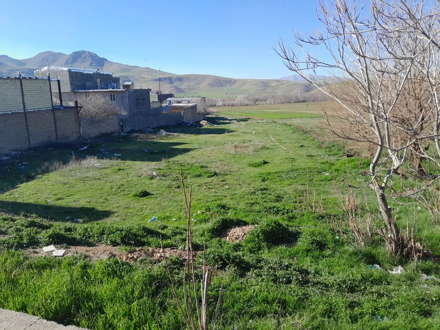 زمین ۳۳۹متری پشت کوچه خالقی هرسین (چسبیده بافت)