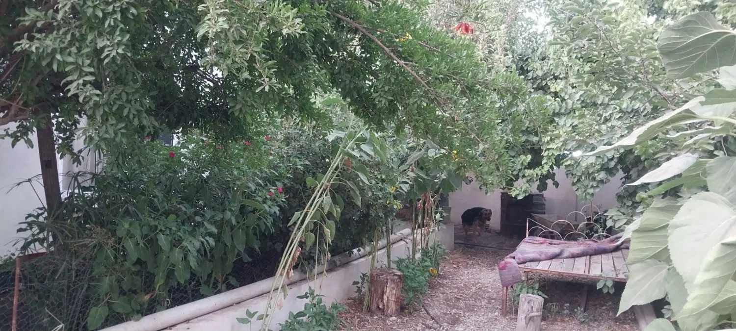 خانه باغ ۳۰۰ متری_ ۲ خواب_ لوکیشن دنج