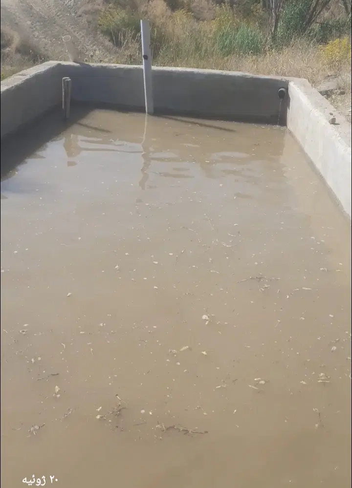 زمین کشاورزی