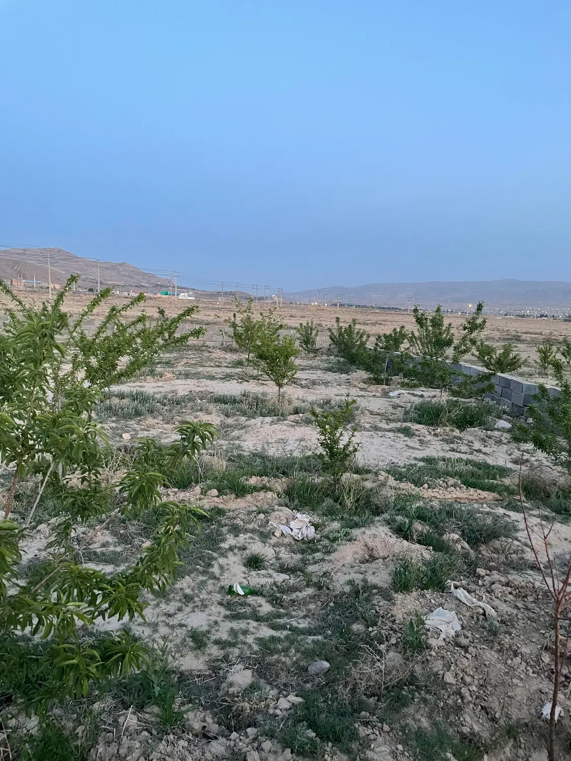 زمین