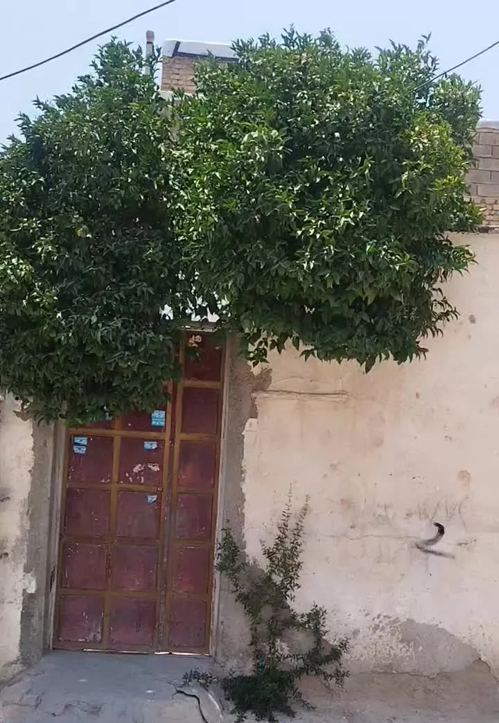 منزل 60 متری بر خیابان آرامگاه حاج عزت