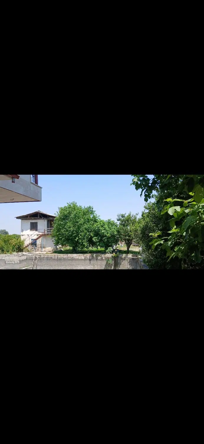 باغ پرتقال و خرمالو