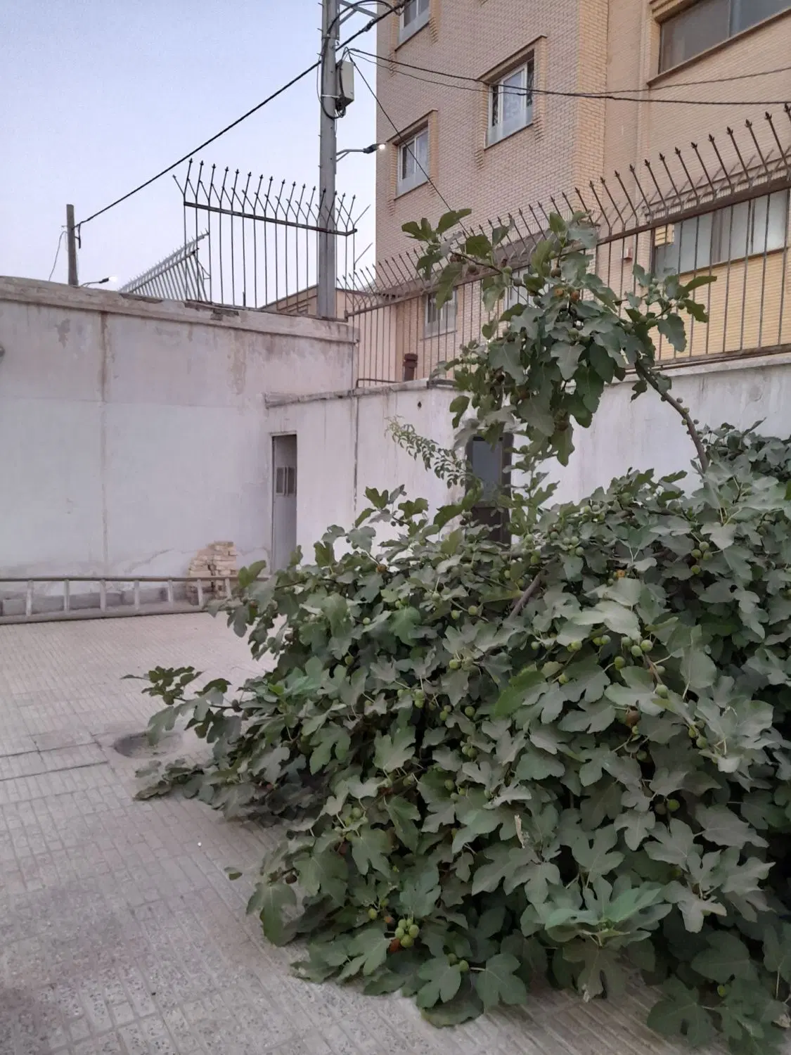 فروش منزل ویلایی ۱۸۰ متری