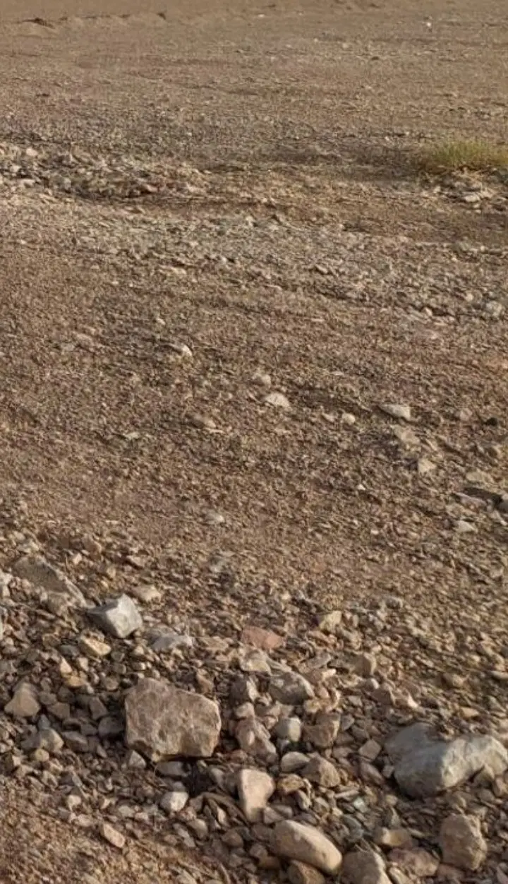 فروش زمین بر جاده شیراز سپیدان (کلستان)
