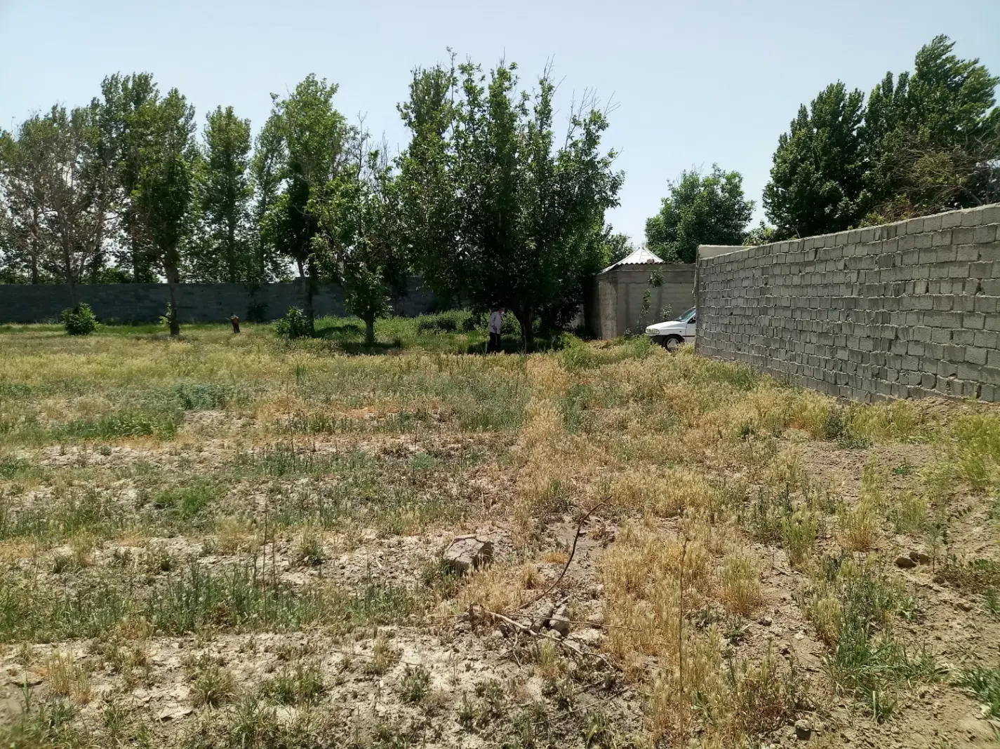 2400 مترمربع زمین باغچه ای دنج و امن