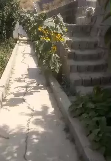 باغ در جاده چالوس