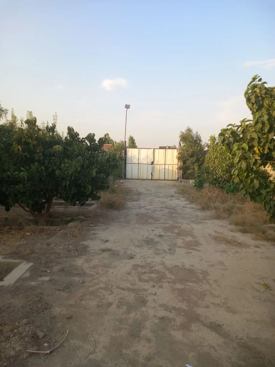 باغچه ی ۴۵۰ متری سندتک برگ