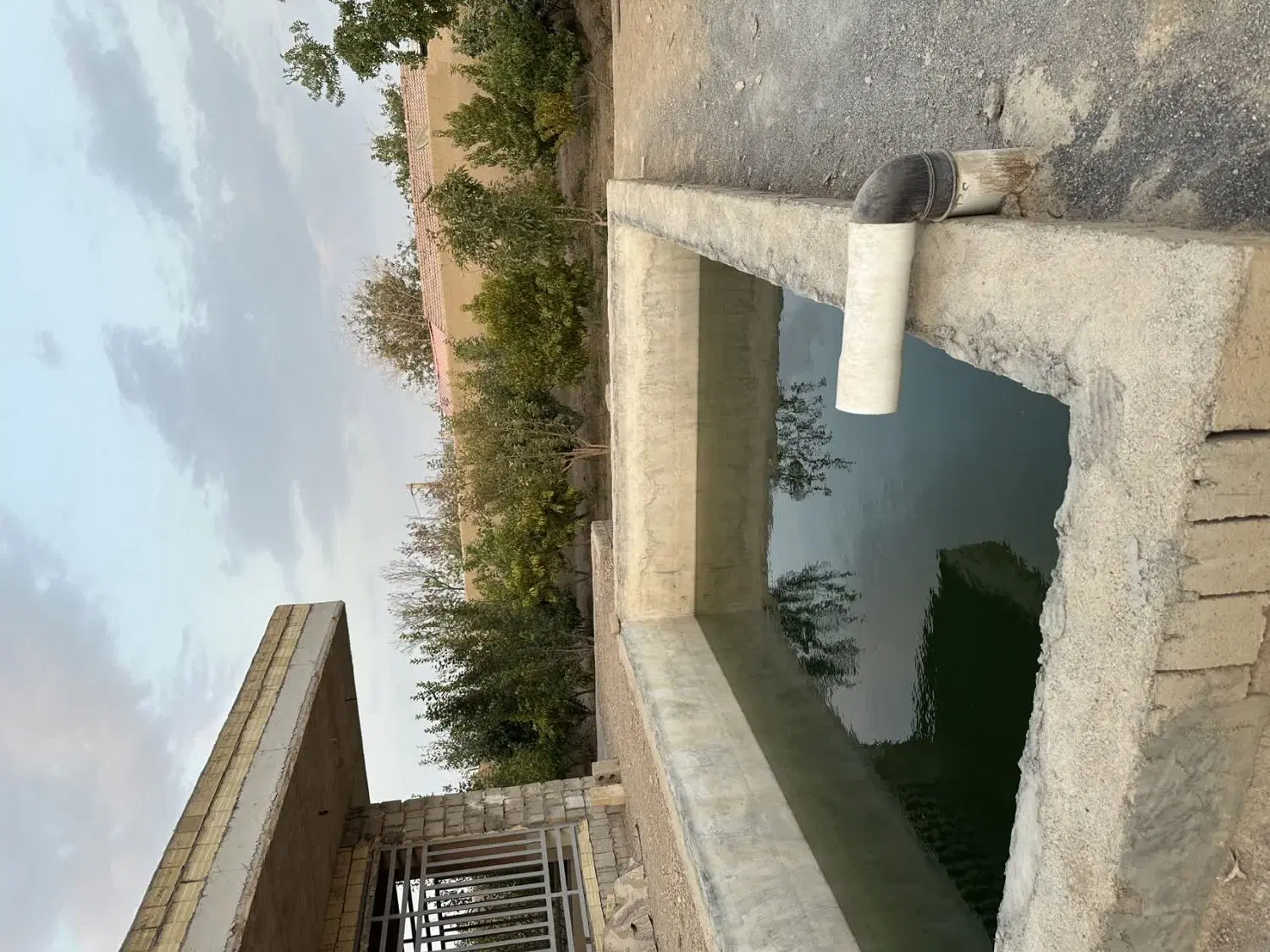 باغ سفت کاری شده